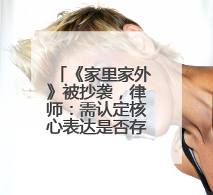 《家里家外》被抄袭，律师：需认定核心表达是否存在实质性相似