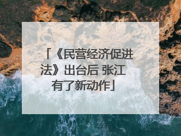 《民营经济促进法》出台后 张江有了新动作