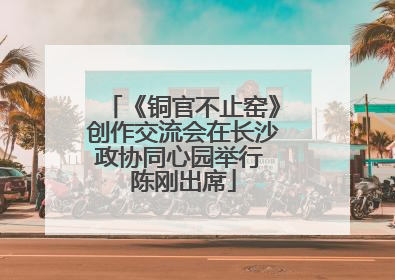 《铜官不止窑》创作交流会在长沙政协同心园举行 陈刚出席