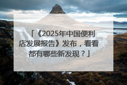 《2025年中国便利店发展报告》发布，看看都有哪些新发现？