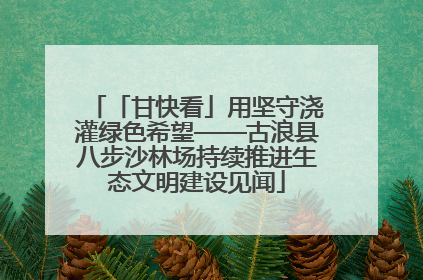 「甘快看」用坚守浇灌绿色希望——古浪县八步沙林场持续推进生态文明建设见闻