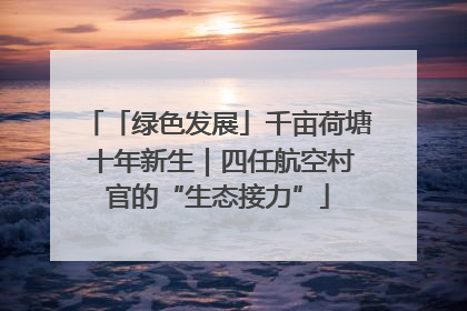 「绿色发展」千亩荷塘 十年新生｜四任航空村官的“生态接力”