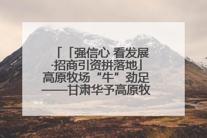「强信心 看发展·招商引资拼落地」高原牧场“牛”劲足——甘肃华予高原牧场高标准奶牛肉牛养殖项目一线见闻
