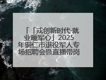 「戎创新时代·就业暖军心」2025年铜仁市退役军人专场招聘会暨直播带岗活动顺利举行