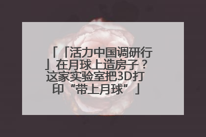 「活力中国调研行」在月球上造房子？这家实验室把3D打印“带上月球”
