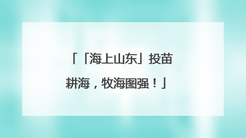 「海上山东」投苗耕海，牧海图强！