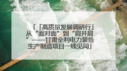 「高质量发展调研行」从“面对面”到“肩并肩”——甘肃全利电力装备生产制造项目一线见闻