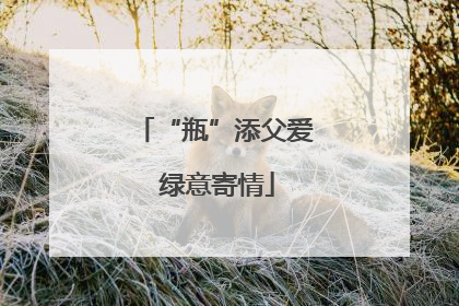 “瓶”添父爱 绿意寄情