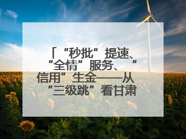 “秒批”提速、“全情”服务、“信用”生金——从“三级跳”看甘肃玉门市优化营商环境的进阶之路