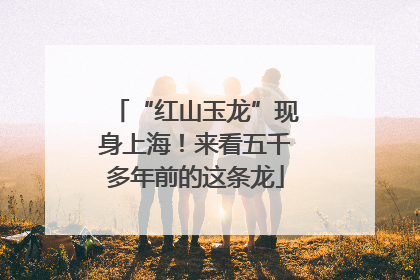 “红山玉龙”现身上海！来看五千多年前的这条龙