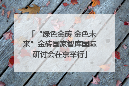 “绿色金砖 金色未来”金砖国家智库国际研讨会在京举行