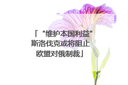 “维护本国利益” 斯洛伐克或将阻止欧盟对俄制裁