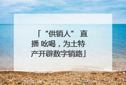 “供销人” 直播 吆喝，为土特产开辟数字销路