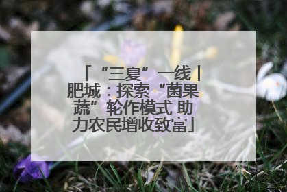 “三夏”一线丨肥城：探索“菌果蔬”轮作模式 助力农民增收致富