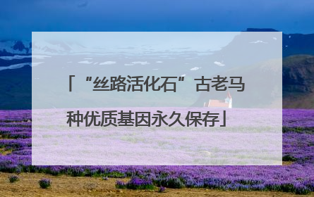 “丝路活化石”古老马种优质基因永久保存