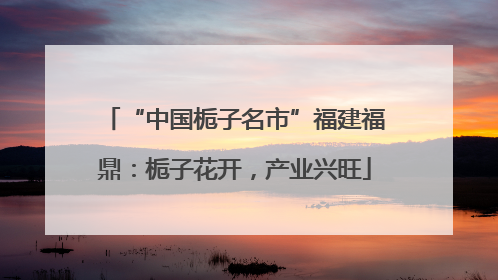 “中国栀子名市”福建福鼎：栀子花开，产业兴旺