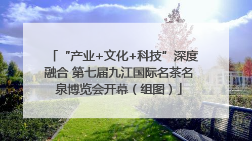 “产业+文化+科技”深度融合 第七届九江国际名茶名泉博览会开幕（组图）