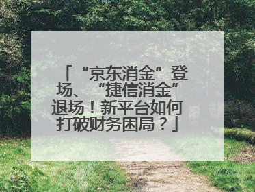 “京东消金”登场、“捷信消金”退场！新平台如何打破财务困局？