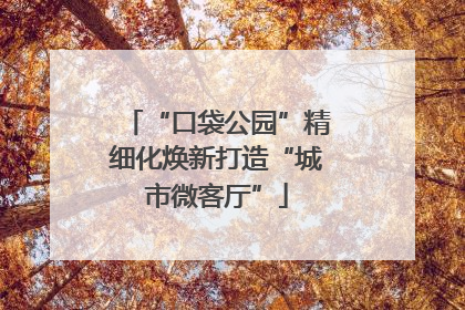 “口袋公园”精细化焕新打造“城市微客厅”