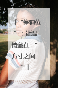 “停狗位 ”：让温情藏在 “方寸之间 ”