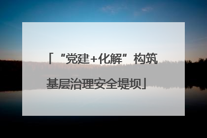 “党建+化解”构筑基层治理安全堤坝