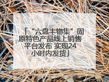 “六盘丰物集”固原特色产品线上销售平台发布 实现24小时内发货