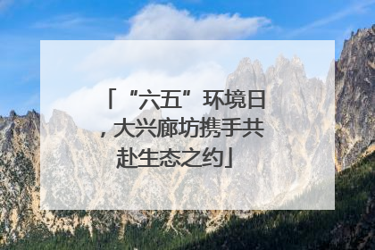 “六五”环境日，大兴廊坊携手共赴生态之约