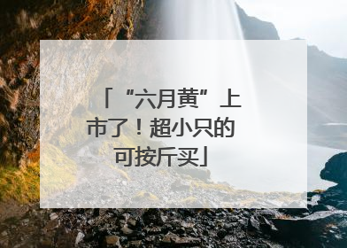 “六月黄”上市了！超小只的可按斤买