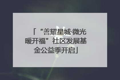 “善耀星城·微光暖开福”社区发展基金公益季开启