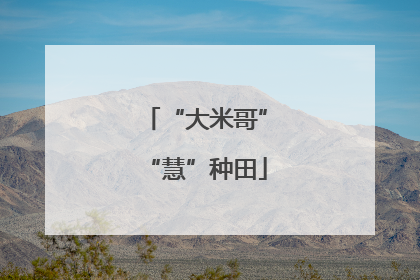 “大米哥”“慧”种田