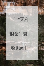 “天府粮仓”夏收见闻