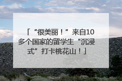 “很美丽！”来自10多个国家的留学生“沉浸式”打卡桃花山！