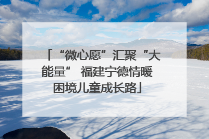 “微心愿”汇聚“大能量” 福建宁德情暖困境儿童成长路