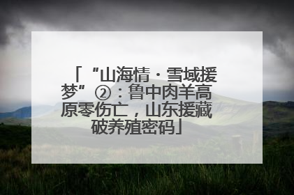 “山海情・雪域援梦”②：鲁中肉羊高原零伤亡，山东援藏破养殖密码
