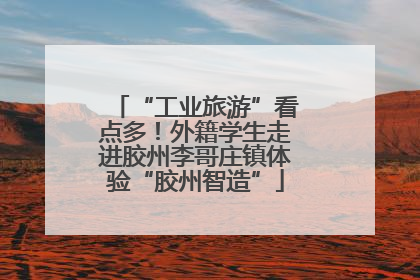 “工业旅游”看点多！外籍学生走进胶州李哥庄镇体验“胶州智造”