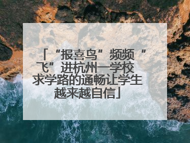 “报喜鸟”频频“飞”进杭州一学校 求学路的通畅让学生越来越自信
