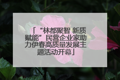“林都聚智 新质赋能”民营企业家助力伊春高质量发展主题活动开幕