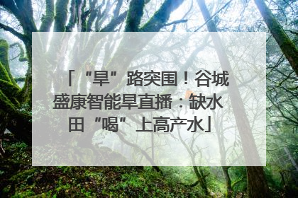 “旱”路突围！谷城盛康智能旱直播：缺水田“喝”上高产水