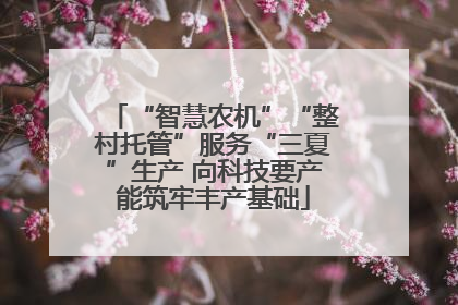 “智慧农机”“整村托管”服务“三夏”生产 向科技要产能筑牢丰产基础