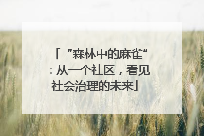 “森林中的麻雀”：从一个社区，看见社会治理的未来