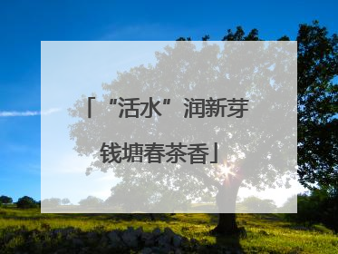 “活水”润新芽 钱塘春茶香