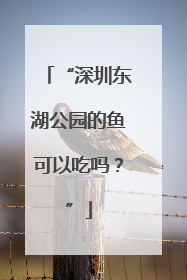“深圳东湖公园的鱼可以吃吗？”