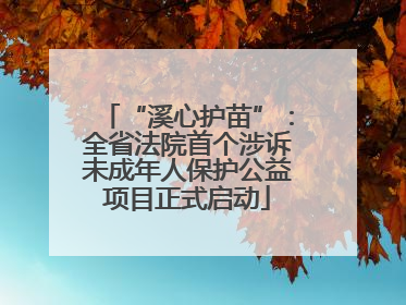 “溪心护苗”：全省法院首个涉诉未成年人保护公益项目正式启动