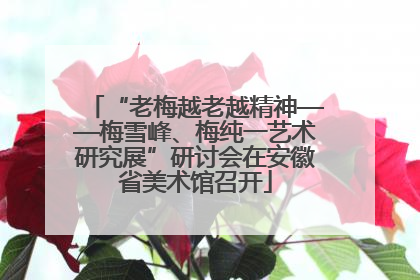 “老梅越老越精神——梅雪峰、梅纯一艺术研究展”研讨会在安徽省美术馆召开