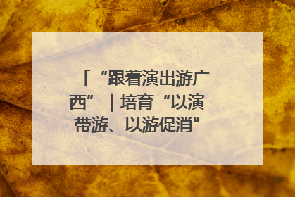 “跟着演出游广西”｜培育“以演带游、以游促消”文旅消费新生态