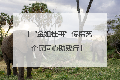 “金姐桂哥”传粽艺 企民同心助残行