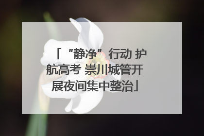 “静净”行动 护航高考 崇川城管开展夜间集中整治