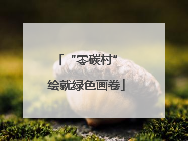 “零碳村” 绘就绿色画卷