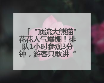 “顶流大熊猫”花花人气爆棚！排队1小时参观3分钟，游客只敢讲“悄悄话”
