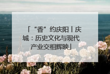 “香”约庆阳丨庆城：历史文化与现代产业交相辉映